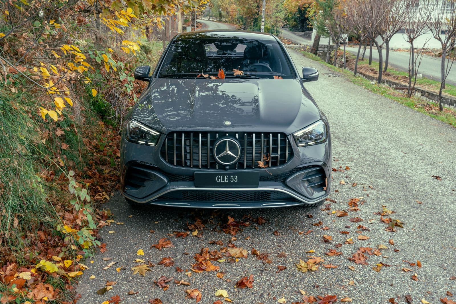 Luxury background 4